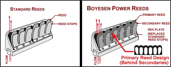 Boyesen Reeds